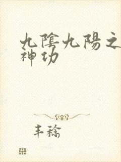 九阴九阳之阴阳神功