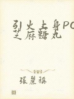 引火上身POP芝麻糖丸