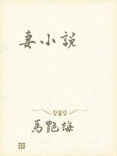 妻小说