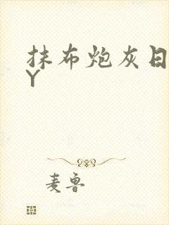 抹布炮灰日记BY