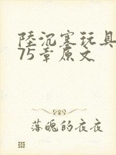 陆沉塞玩具高速75章原文