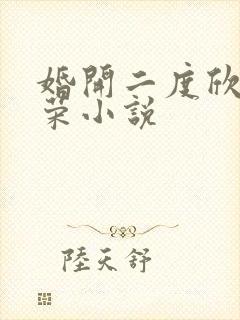 婚开二度欣欣向荣小说