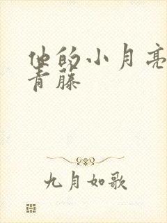 他的小月亮by青藤