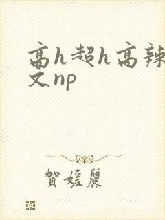 高h超h高辣h文np