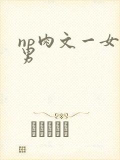 np肉文一女多男