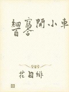 细写开小车车的百合