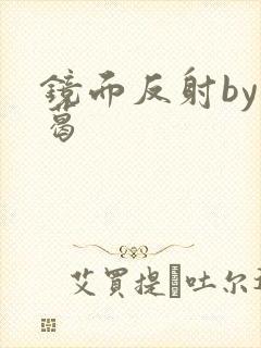 镜面反射by九葛