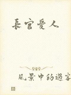 长官爱人