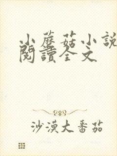 小蘑菇小说免费阅读全文