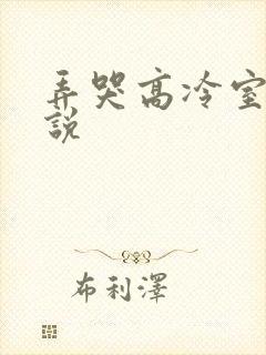 弄哭高冷室友小说