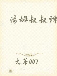 汤姆叔叔转接口