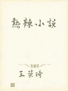 热辣小说