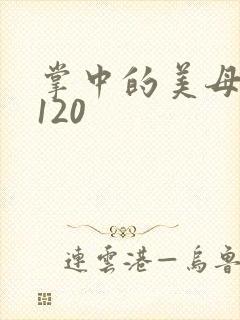 掌中的美母版主120