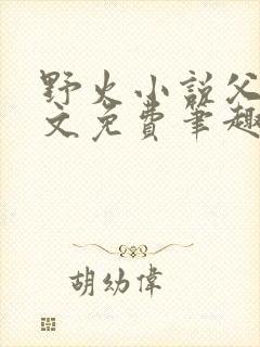 野火小说父女全文免费笔趣阁