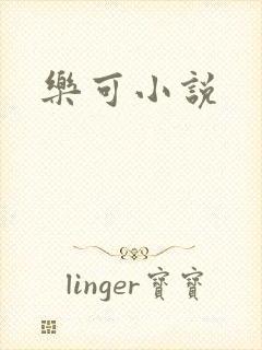乐可小说