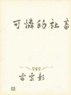 可怜的社畜分手