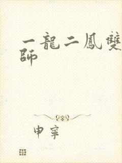 一龙二凤双飞老师