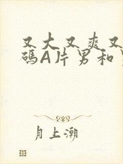 又大又爽又黄无码A片男和男