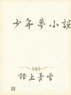 少年梦小说