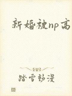 新婚被np高h