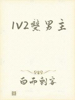 1V2双男主