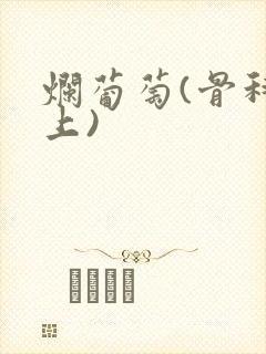 烂葡萄(骨科年上)