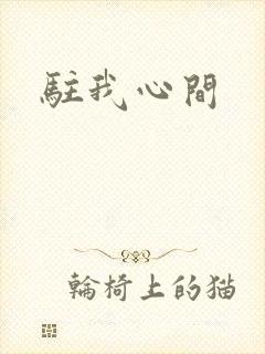 驻我心间