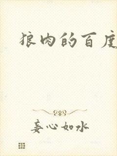 狼肉的百度百科