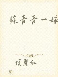 苏青青一嫁三夫