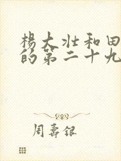 杨大壮和田桂花的第二十九