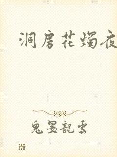 洞房花烛夜小说