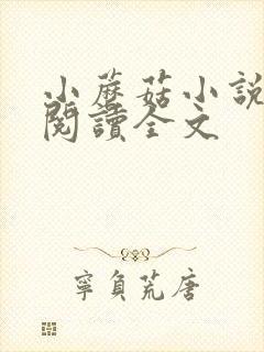 小蘑菇小说免费阅读全文