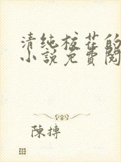 清纯校花的秘密小说免费阅读