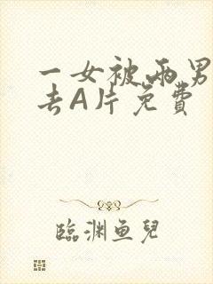 一女被两男桶进去A片免费