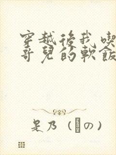 穿越后我吃到了哥儿的软饭炉山灰