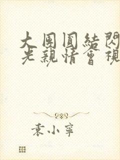 大团圆结闪闪发光亲情会视频