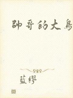 帅哥的大鸟