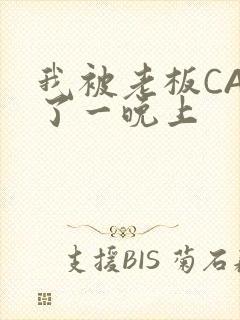 我被老板CAO了一晚上