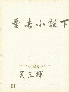 爱去小说下载网