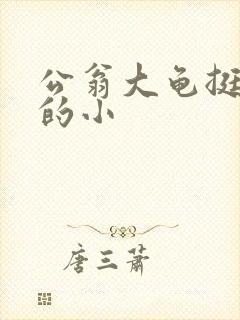 公翁大龟挺进我的小