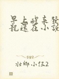 早上醒来发现巨龙还在小说