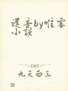 迟音by唯雾的小说