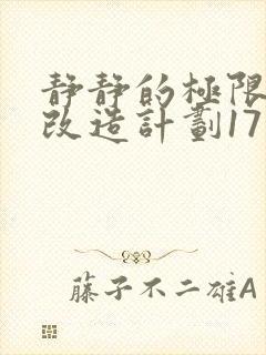 静静的极限自我改造计划17