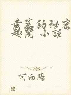 黄蓉的秘密 笔趣阁 小说