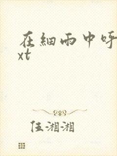 在细雨中呼喊txt