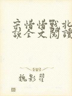 宋惜惜战北望小说全文阅读