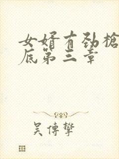 女婿有劲枪枪到底第三章