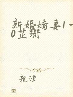 新婚娇妻1一40芷珊