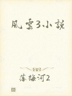 风云3小说