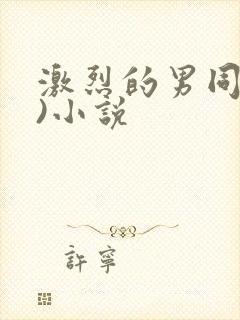 激烈的男同(h)小说